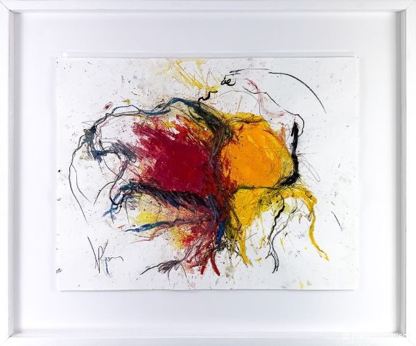 VANMECHELEN Koen - Zonder titel